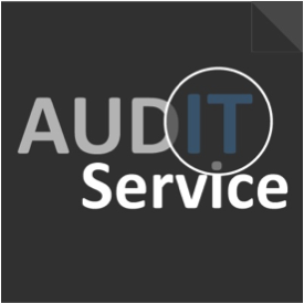 Audit Service